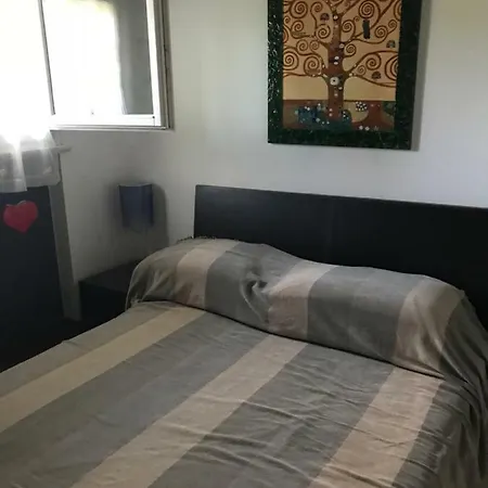 Homestay szállás Casa Barzan